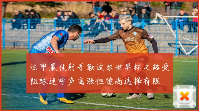 法甲最佳射手勒波尔世界杯之路受阻球迷呼声高涨但德尚选择有限