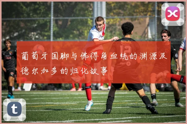 葡萄牙国脚与佛得角血统的渊源及德尔加多的归化故事