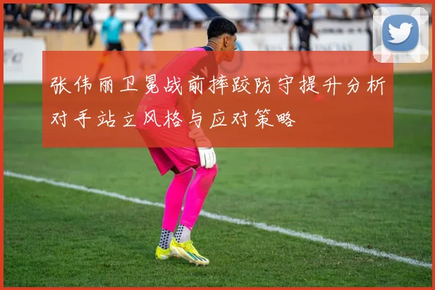 张伟丽卫冕战前摔跤防守提升分析对手站立风格与应对策略