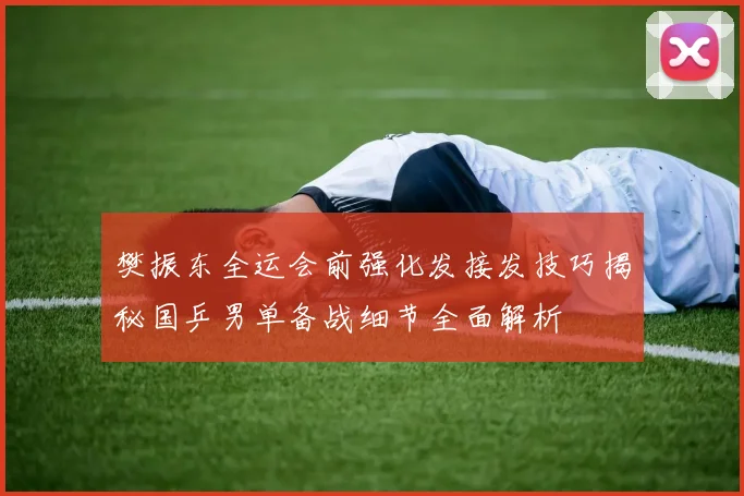 樊振东全运会前强化发接发技巧揭秘国乒男单备战细节全面解析